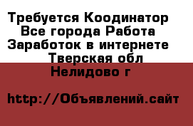 Требуется Коодинатор - Все города Работа » Заработок в интернете   . Тверская обл.,Нелидово г.